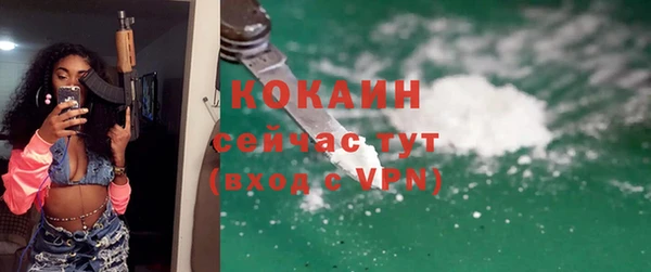 хмурый Гусь-Хрустальный