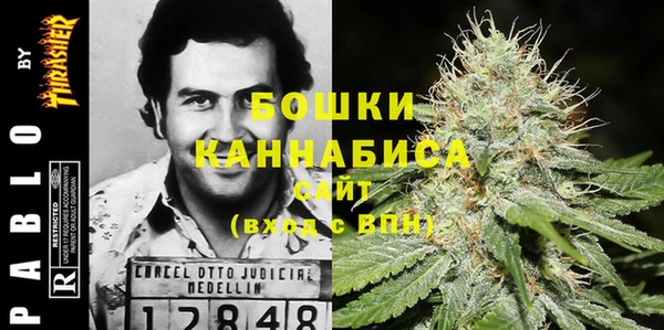 трава Гусиноозёрск