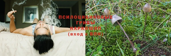 скорость Нефтекумск