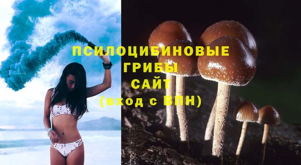 амф Нефтегорск
