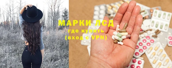 мяу мяу мука Гусев