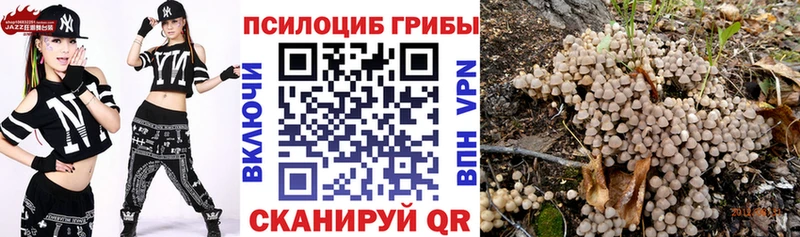 Галлюциногенные грибы мицелий  Озёры 